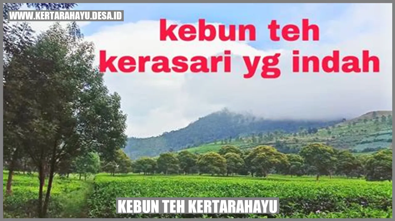 Kebun Teh Kertarahayu