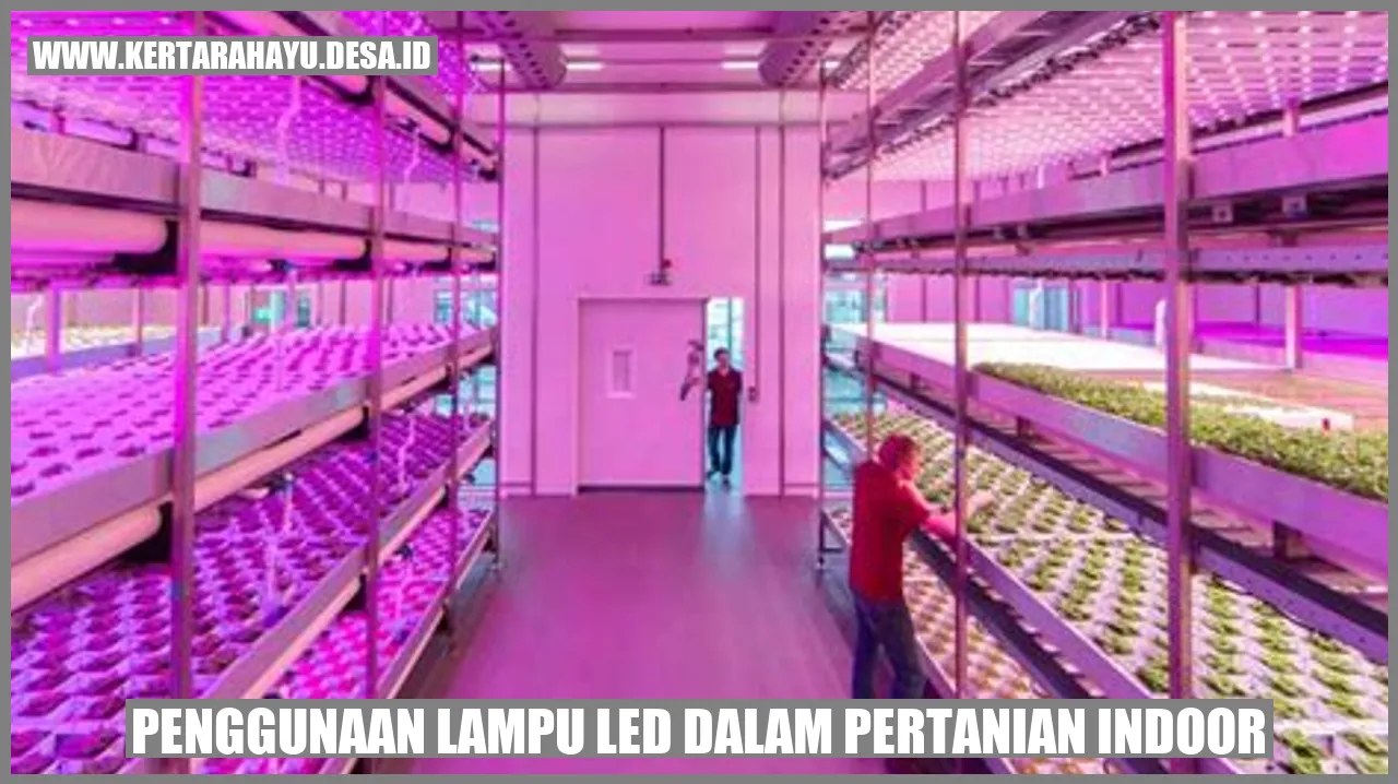 Penggunaan Lampu LED dalam Pertanian Indoor
