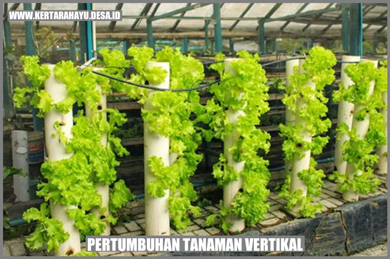 Pertumbuhan Tanaman Vertikal